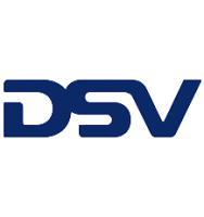 DSV-removebg-preview